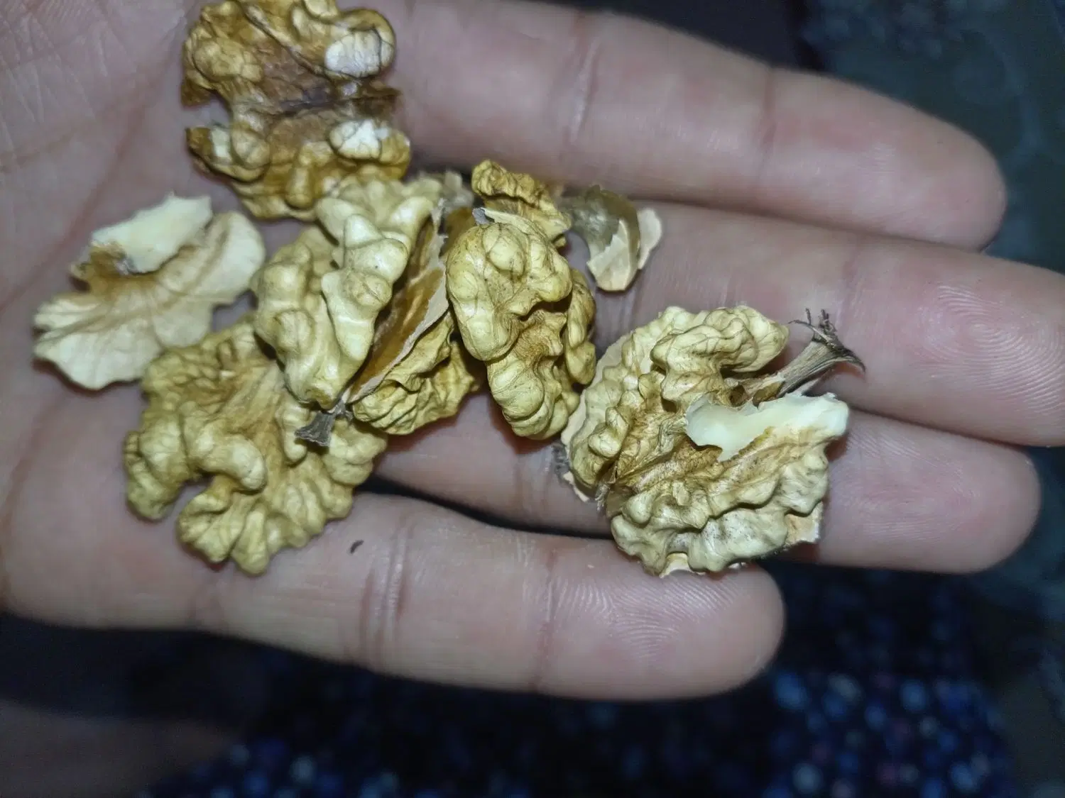 گردو|خوردنی و آشامیدنی|چناران, |دیوار