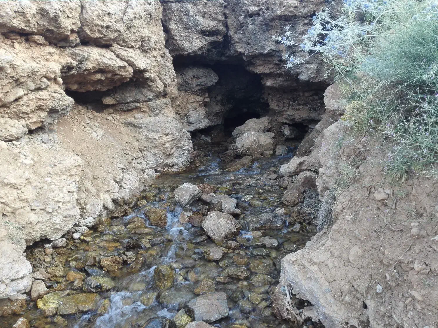 منزل ویلایی کنارچشمه وپیست اسکی|اجارهٔ خانه و ویلا|داران, |دیوار