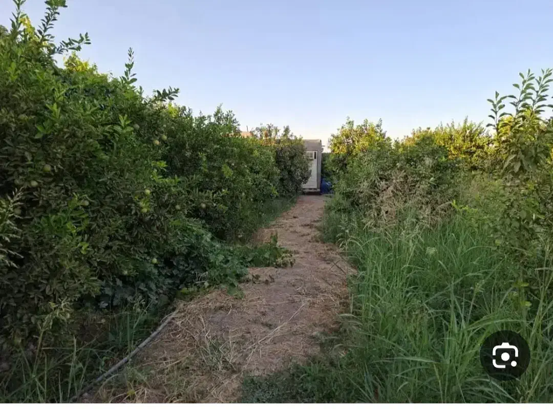 باغچه|فروش خانه و ویلا|دزفول, |دیوار