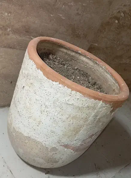 فروش گلدان|گل و گیاه طبیعی|شیراز, کوشک میدان|دیوار