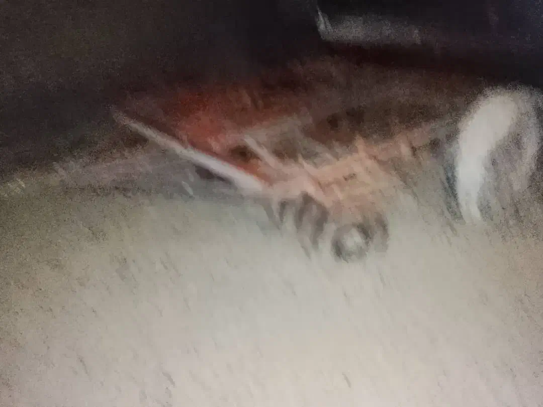 دیسک کشاورزی ۲۸ پر اسراءیلی|ماشین‌آلات صنعتی|لالی, |دیوار