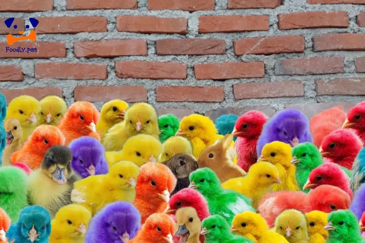 فروش دستگاه جوجه کشی|ماشینآلات صنعتی|زرند, |دیوار