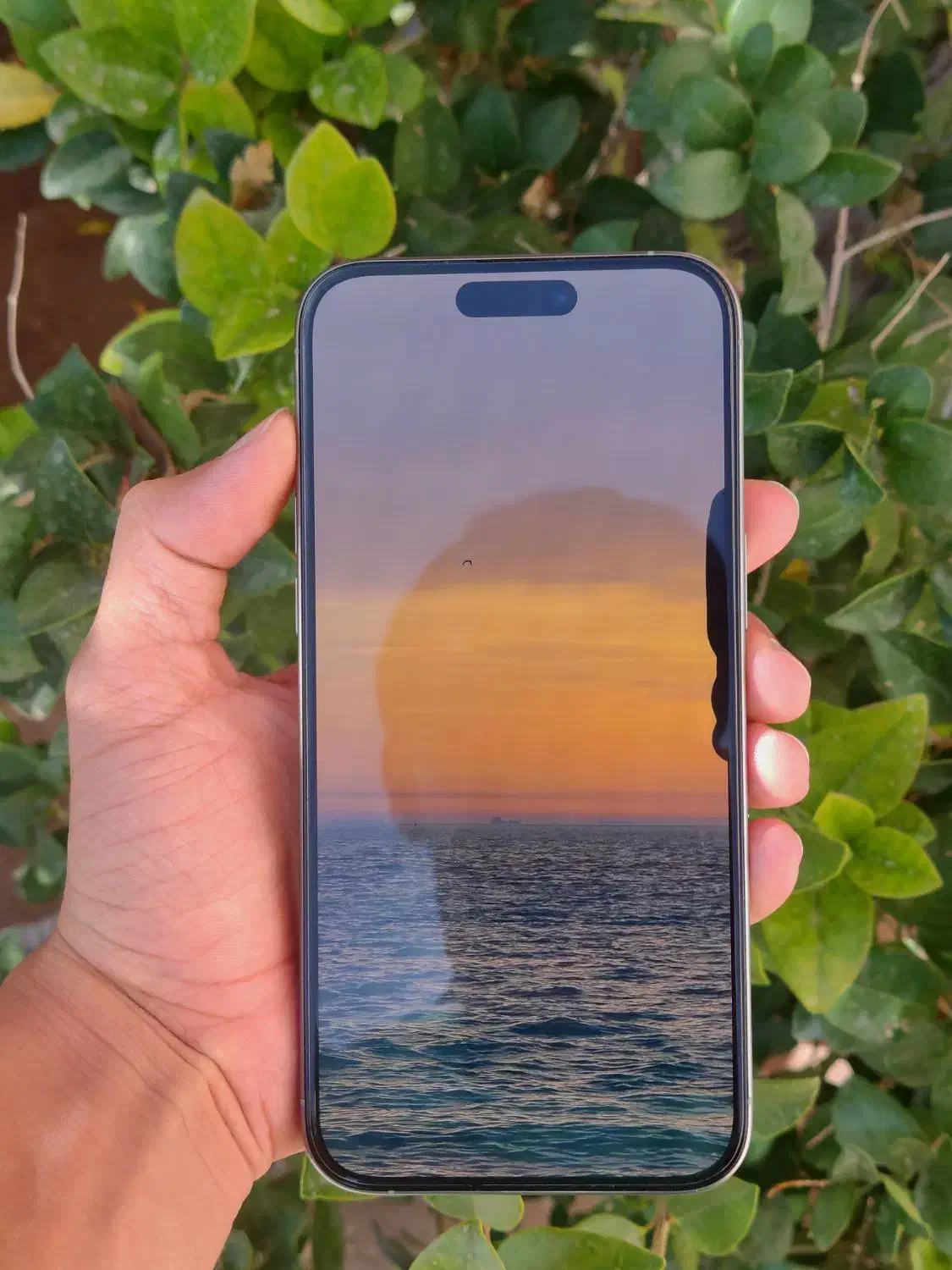 15pro max|موبایل|کرمان, |دیوار