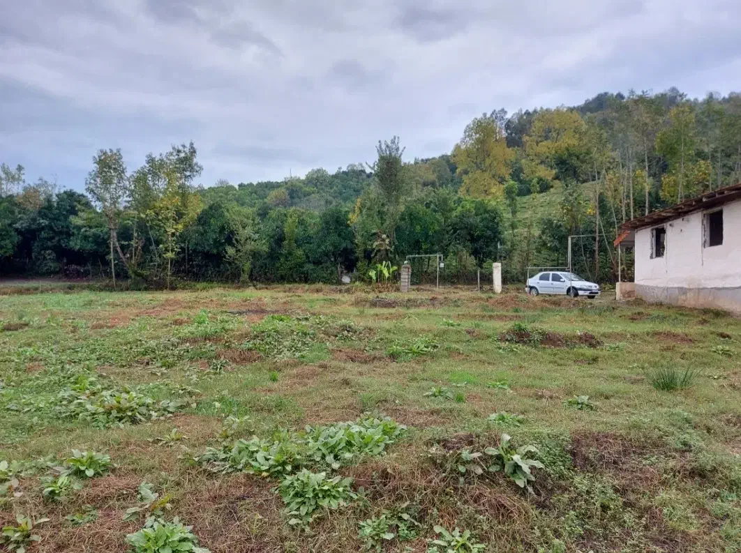 زمین کوهپایه در دل طبیعت|فروش زمین و ملک کلنگی|واجارگاه, |دیوار