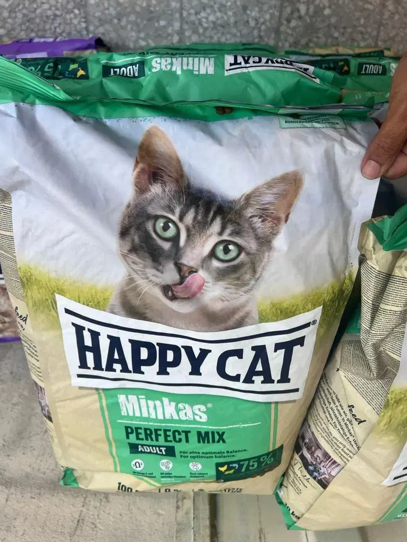 هپی کت هپی داگ|لوازم جانبی حیوانات|رشت, سعدی (تختی)|دیوار