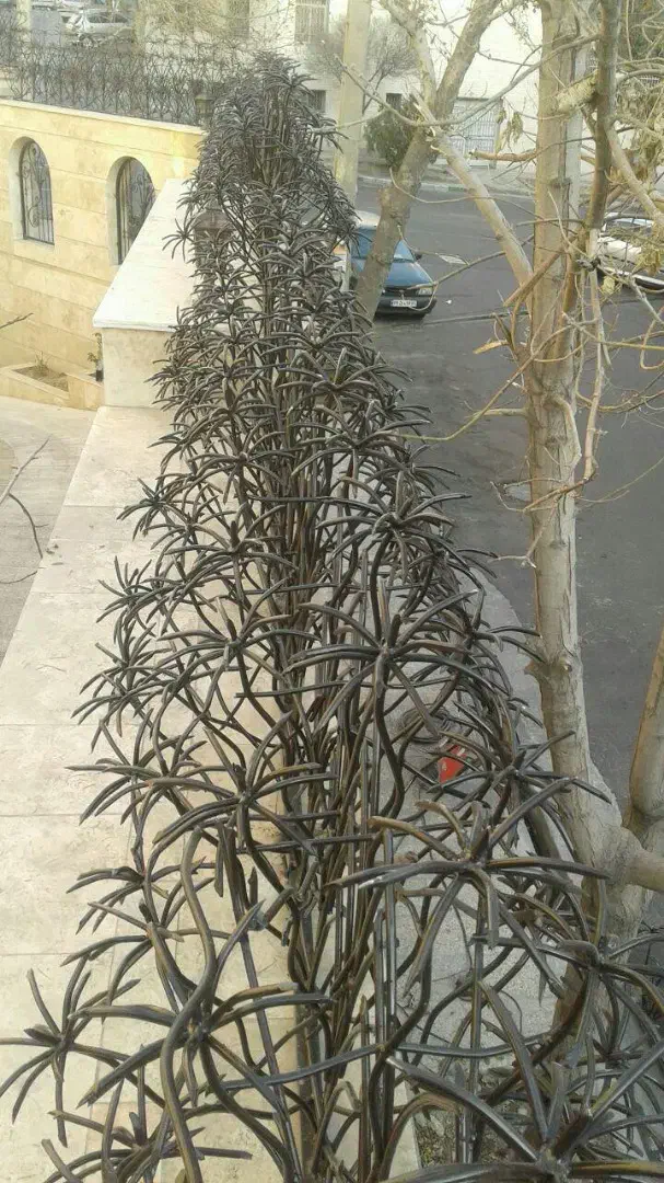 ساخت وتولید شاخ گوزنی کوره ای|مصالح و تجهیزات ساختمان|قائم‌شهر, |دیوار