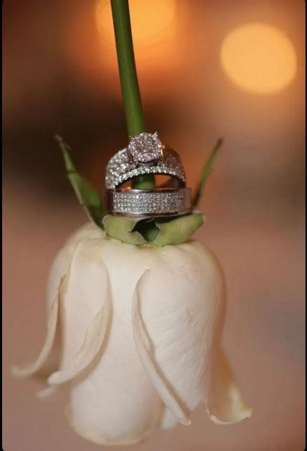 فیلمبرداری عقد و عروسی به مدت محدود|خدمات پذیرایی، مراسم|اهواز, کیانپارس |دیوار