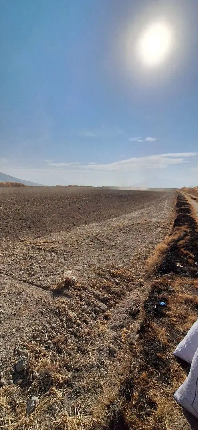 اجاره زمین کشاورزی ۹ هکتار و نیم تضمینی به شرط|اجارهٔ دفتر صنعتی، کشاورزی، تجاری|درودزن, |دیوار