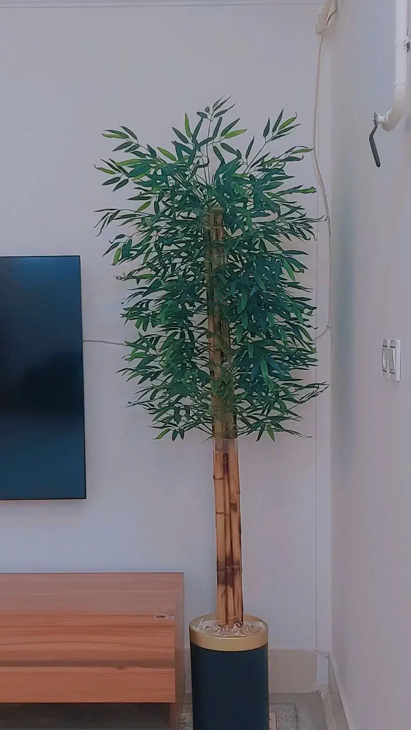 درختچه مصنوعی|گل مصنوعی|بروجرد, |دیوار