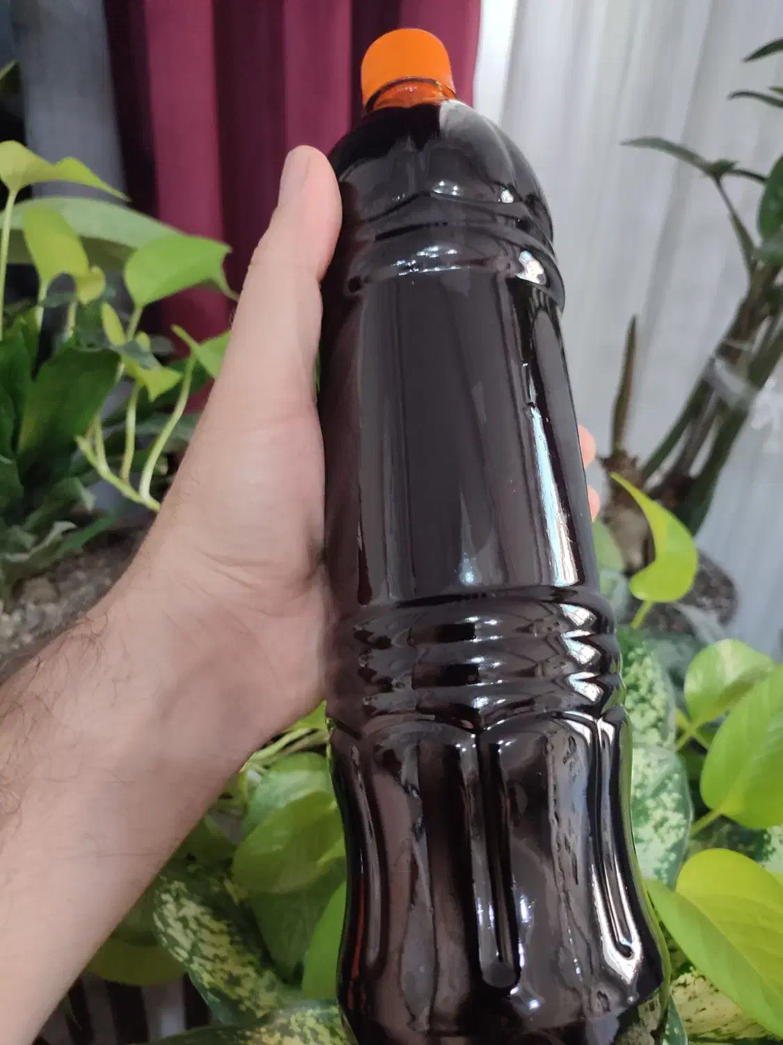 روغن زیتون اصل به شرط|خوردنی و آشامیدنی|رشت, حافظ آباد|دیوار