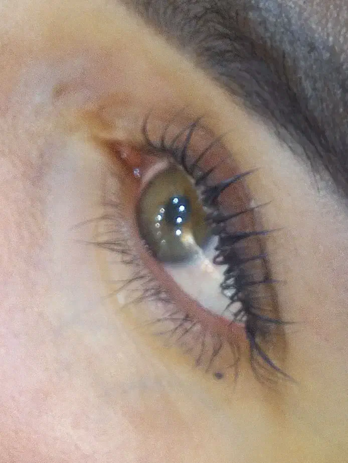 لیفت و لمینت مژه و ابرو|خدمات آموزشی|کرمانشاه, |دیوار