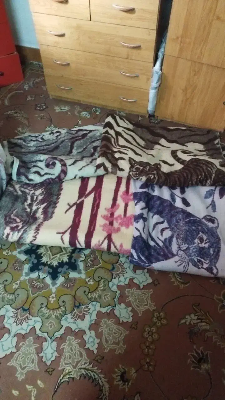 پتو|رختخواب، بالش، پتو|نوشهر, |دیوار