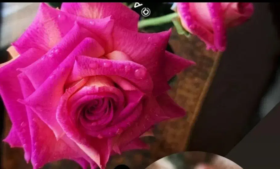 آموزش و فروش گل دستساز منعطف همیشه جاودان|گل مصنوعی|نجفآباد, ویلاشهر|دیوار