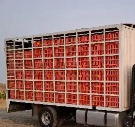 اتاق مرغی هیوندا سبد 200عدد|قطعات یدکی و لوازم جانبی|نکا, |دیوار