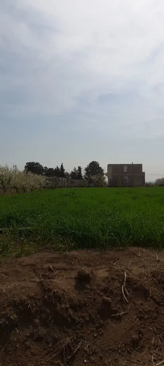 فروش زمین تجاری و مسکونی|فروش زمین و ملک کلنگی|اسلام آباد, |دیوار