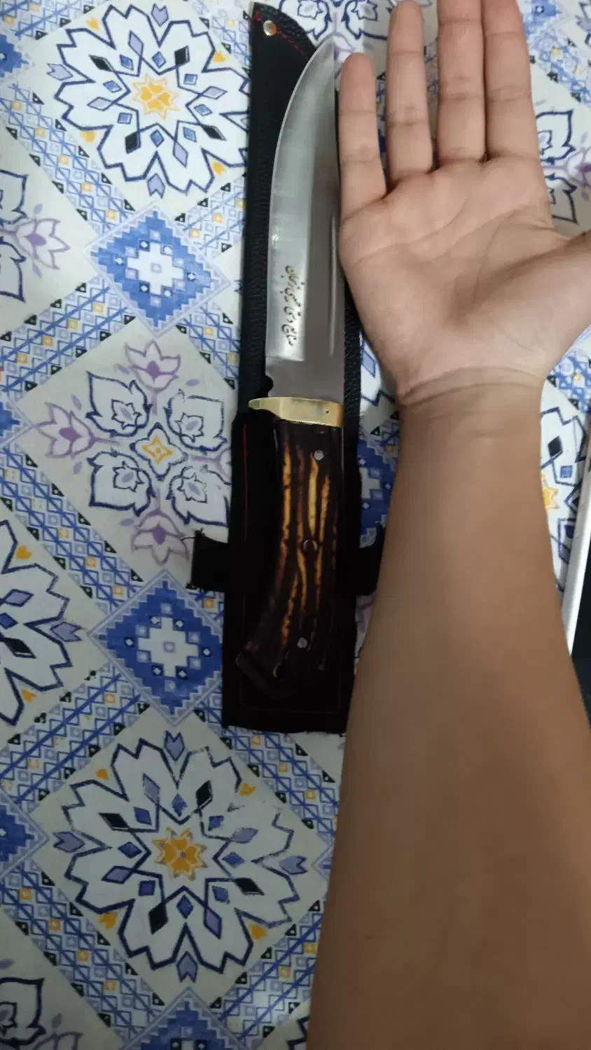 چاقو|کوهنوردی و کمپینگ|شیراز, غدیر شمالی|دیوار