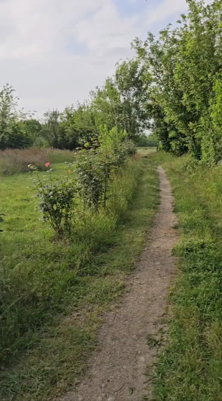 یک هکتار  ملک روستایی  همراه با بنا لاهیجان|فروش زمین و ملک کلنگی|لاهیجان, بوجایه|دیوار