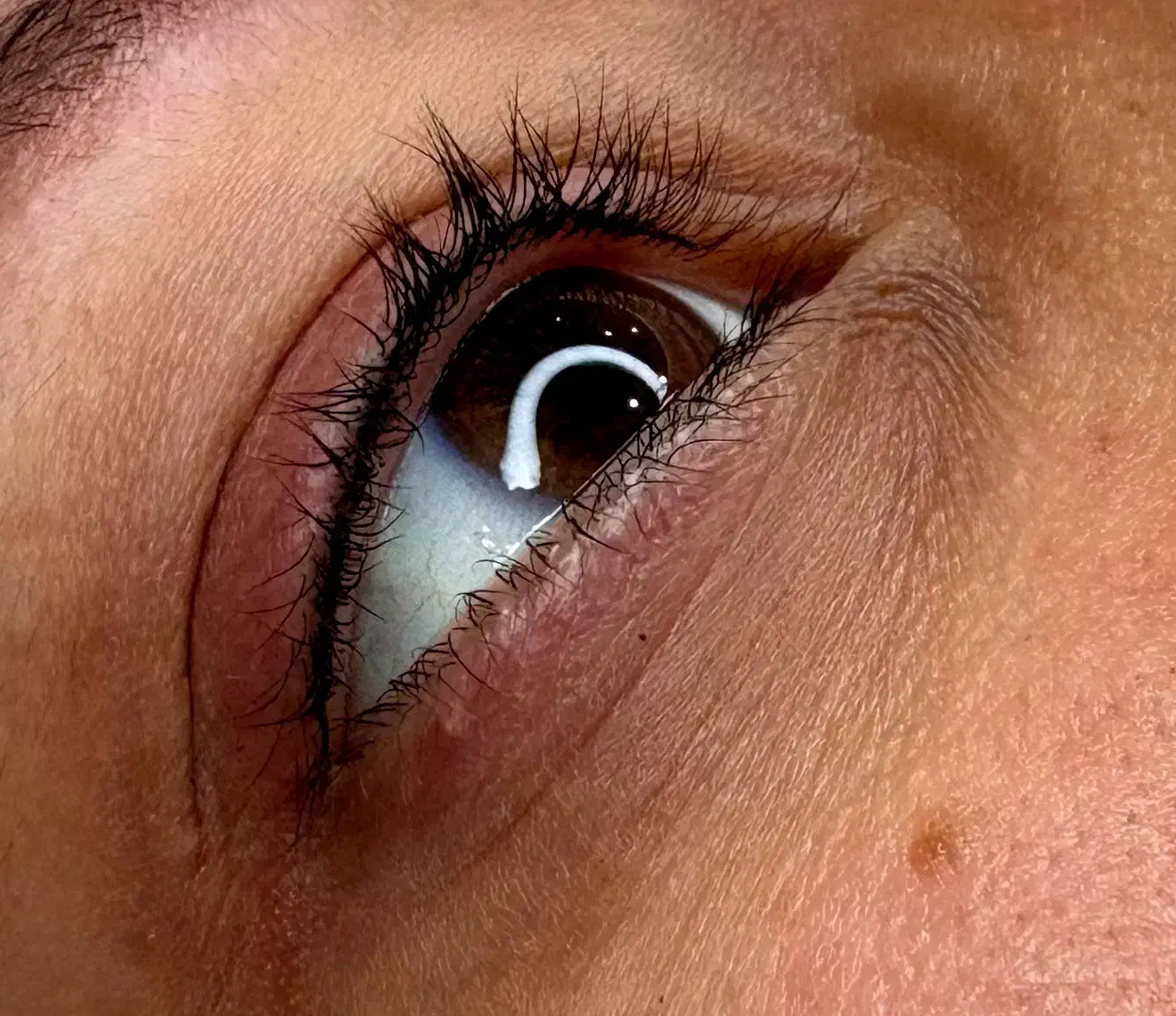 خدمات رایگان میکروبلیدینگ ابرو|خدمات آرایشگری و زیبایی|رشت, معلم|دیوار