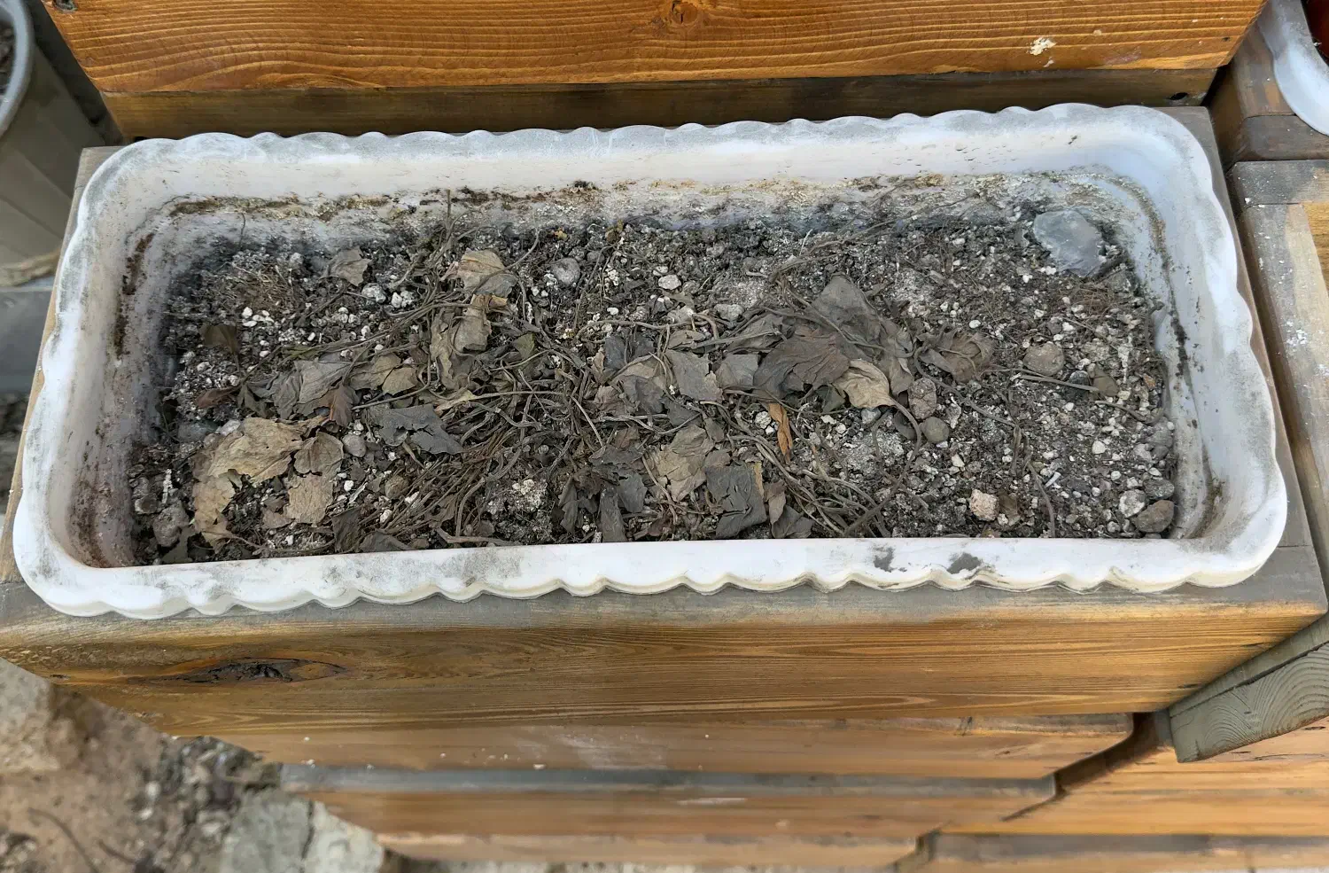 دکور گل و گلدان چوب روس|گل و گیاه طبیعی|شیراز, شهرک مطهری|دیوار