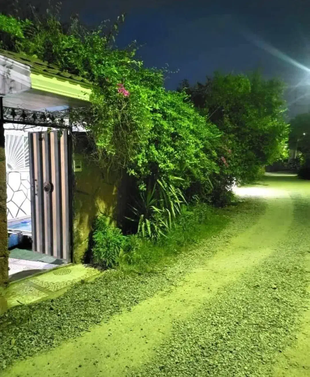 اجاره سالیانه خانه در بستی جاده ماسوله ( آبرود)|اجارهٔ خانه و ویلا|ماکلوان, |دیوار