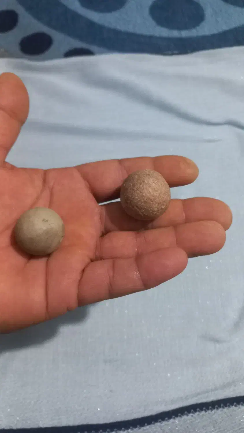 فسیل|کلکسیون اشیاء عتیقه|فیروزآباد (فارس), |دیوار