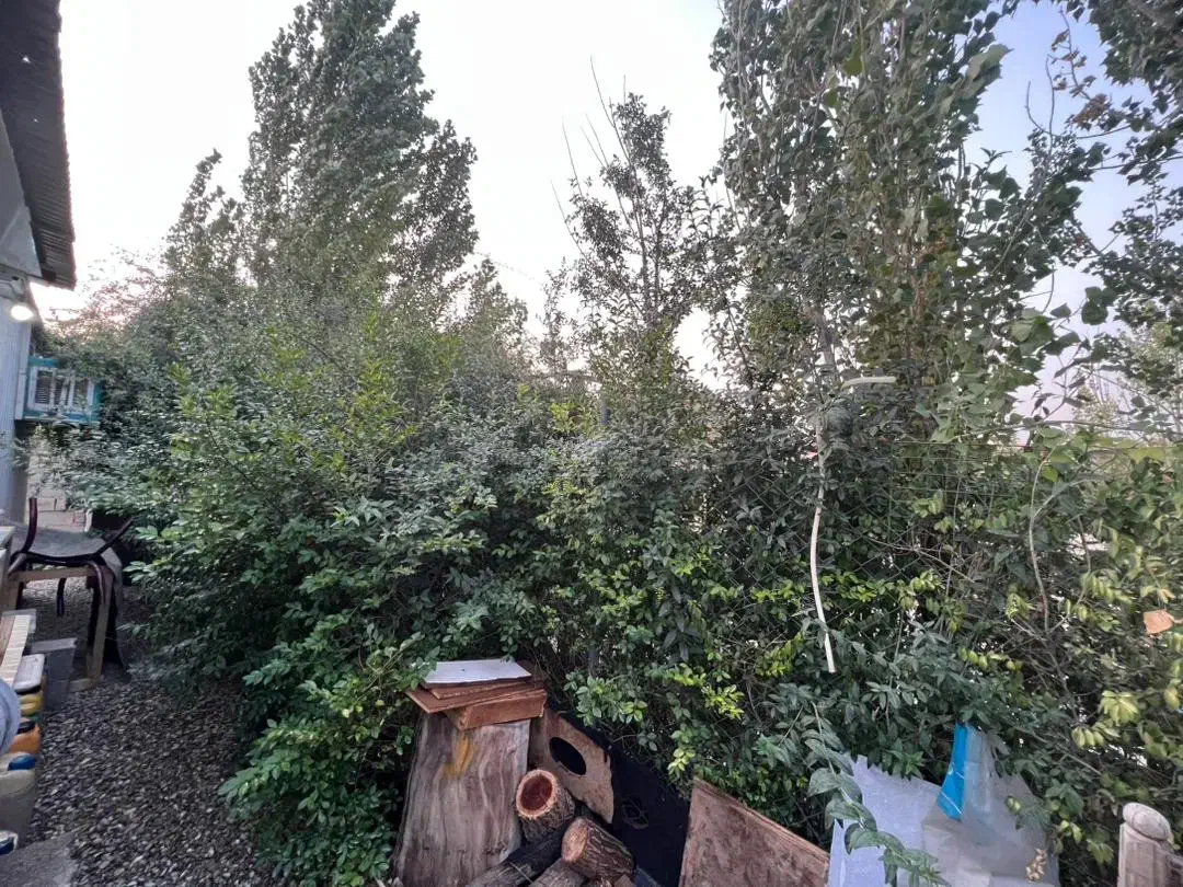 باغ ویلا۵۱۵ متر سنددار|فروش خانه و ویلا|هشتگرد, شهرک راه آهن|دیوار