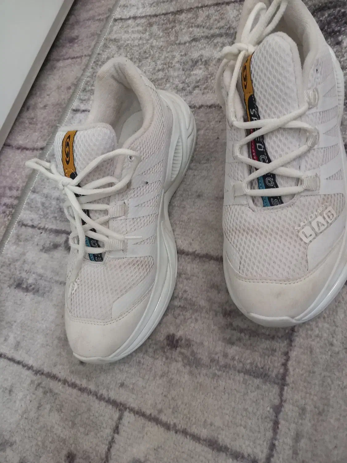 کفش|کیف، کفش، کمربند|کرمانشاه, |دیوار