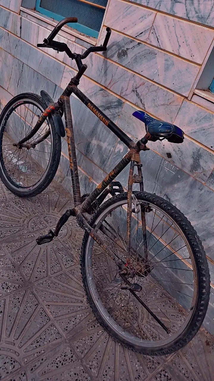 دوچرخه ۲۶|دوچرخه، اسکیت، اسکوتر|بیرجند, |دیوار