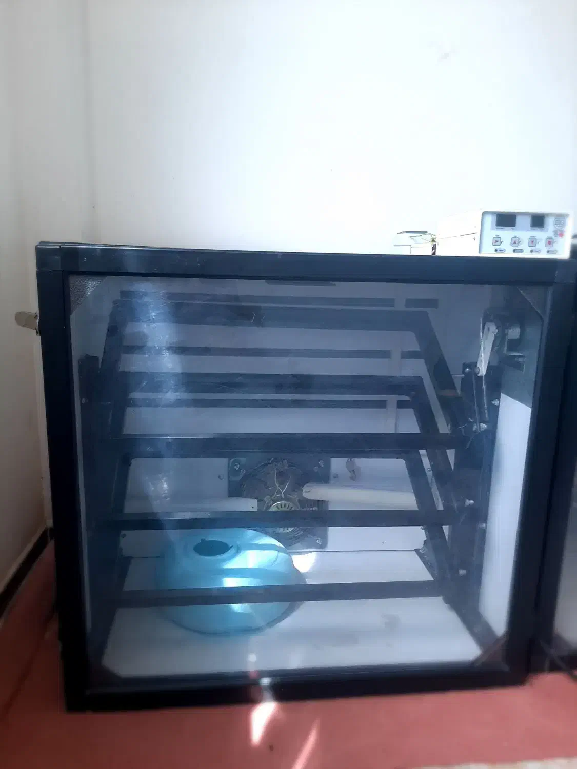 دستگاه جوجه کشی ۳۳۶تایی|حیوانات مزرعه|لاهیجان, بازکیاگوراب|دیوار