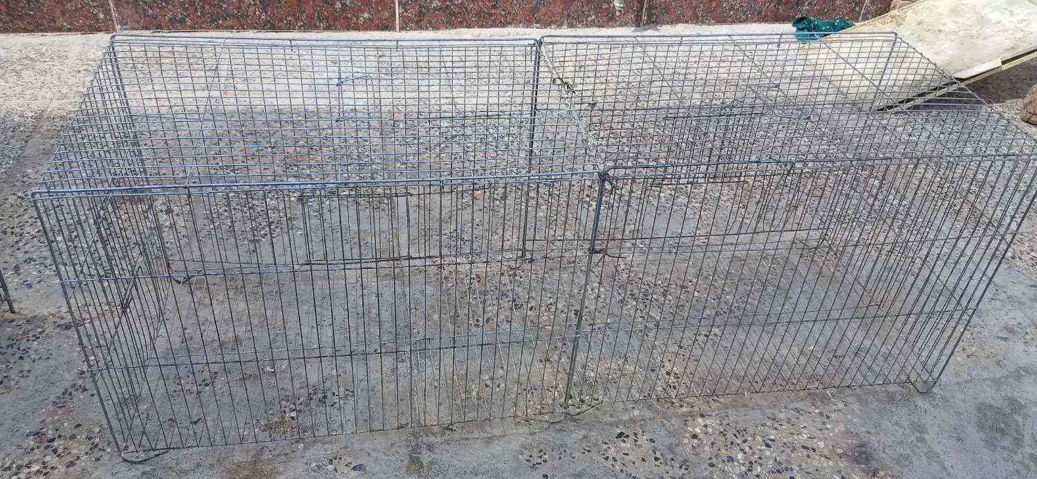 قفس|لوازم جانبی حیوانات|شاهین‌شهر, گرگاب|دیوار