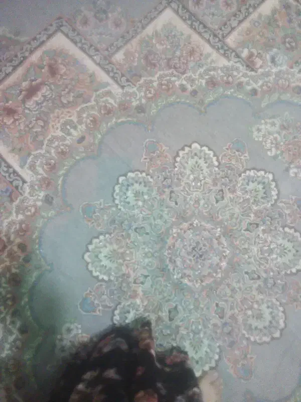 روفرشی|روفرشی|تایباد, |دیوار