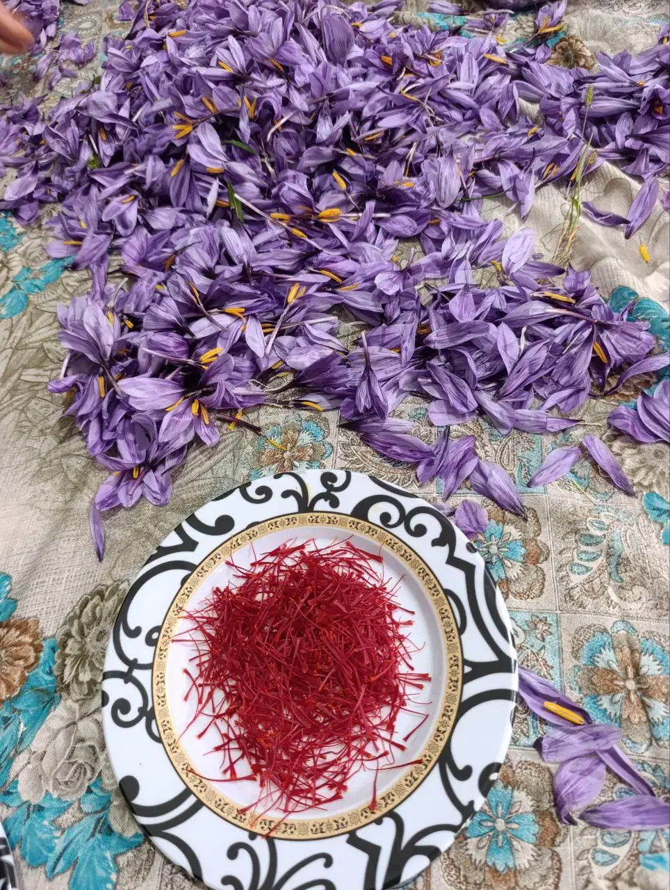 زعفران و خرده فروشی|خوردنی و آشامیدنی|رشتخوار, |دیوار