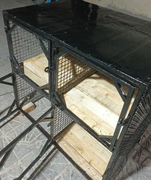 ساخت قفس پرنده|لوازم جانبی حیوانات|بم, |دیوار