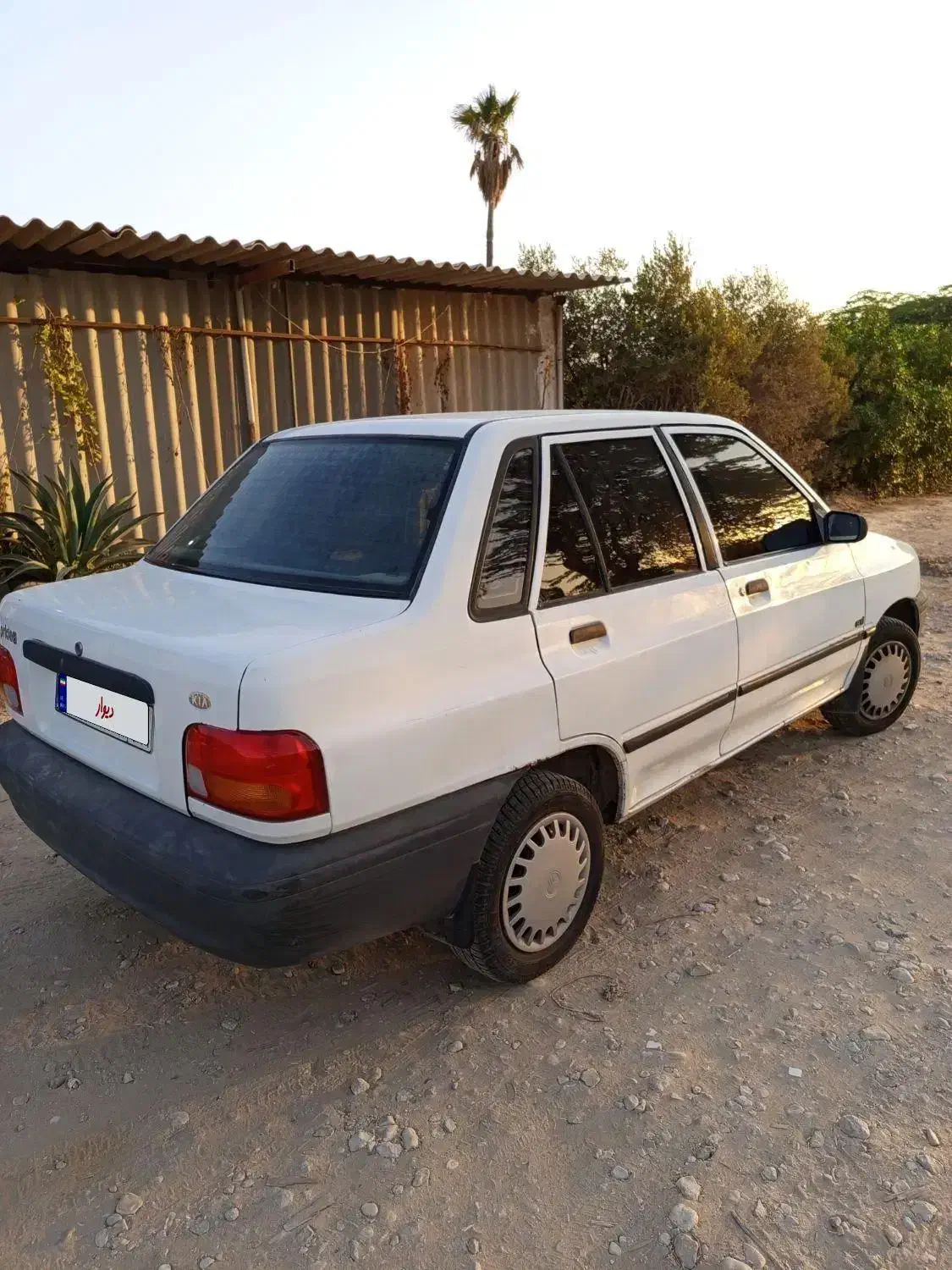 پراید ۸۴ شاسی پلم بی رنگ|خودرو سواری و وانت|بوشهر, |دیوار