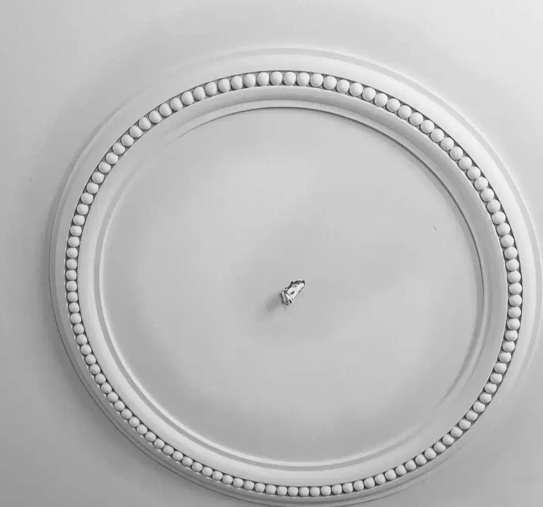 گچکاری و...|خدمات پیشه و مهارت|بندر ترکمن, |دیوار