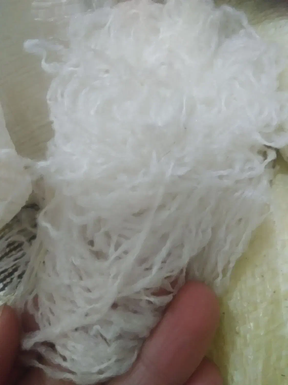 الیاف|رختخواب، بالش، پتو|لالی, |دیوار