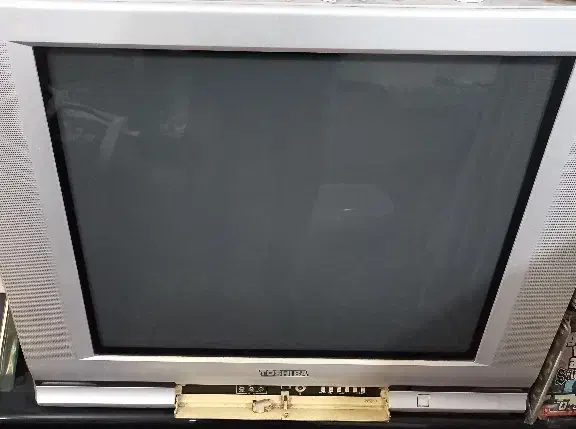 تلویزیون ۲۹ توشیبا|تلویزیون و پروژکتور|مشهد, مهدی آباد (بلوار توس)|دیوار