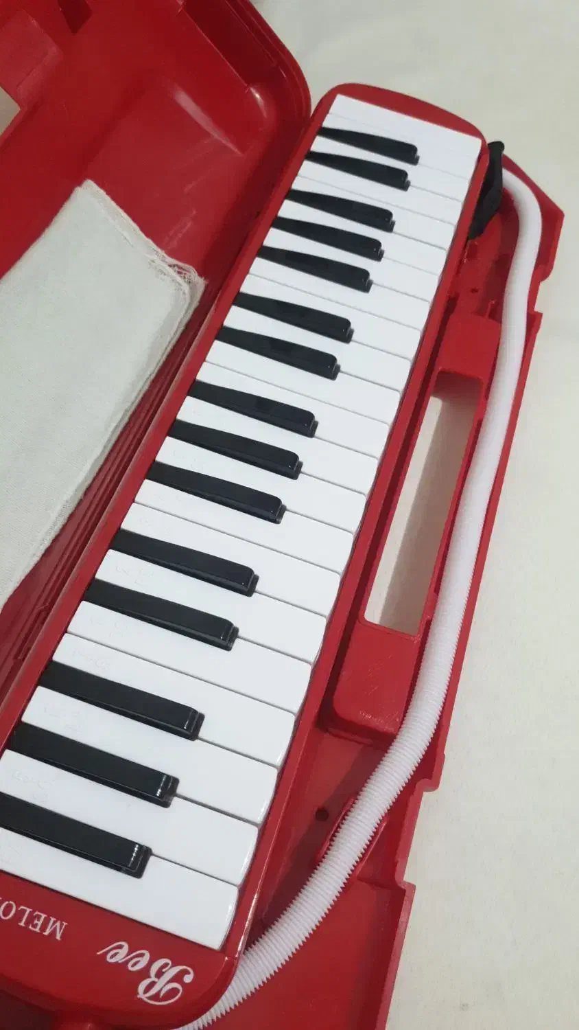 ملودیکا|پیانو، کیبورد، آکاردئون|شیراز, شهرک کوثر|دیوار