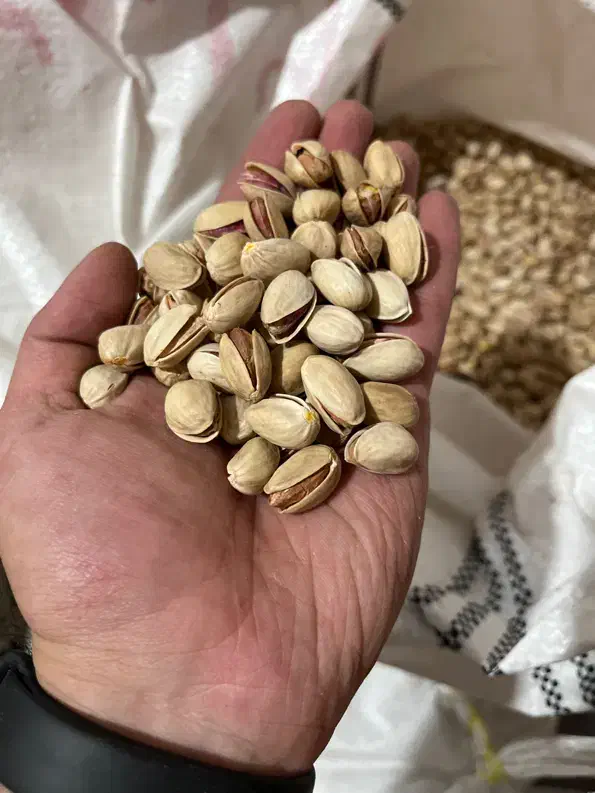 فروش پسته رفسنجان به صورت خرده و عمده|خوردنی و آشامیدنی|ری, دیلمان|دیوار