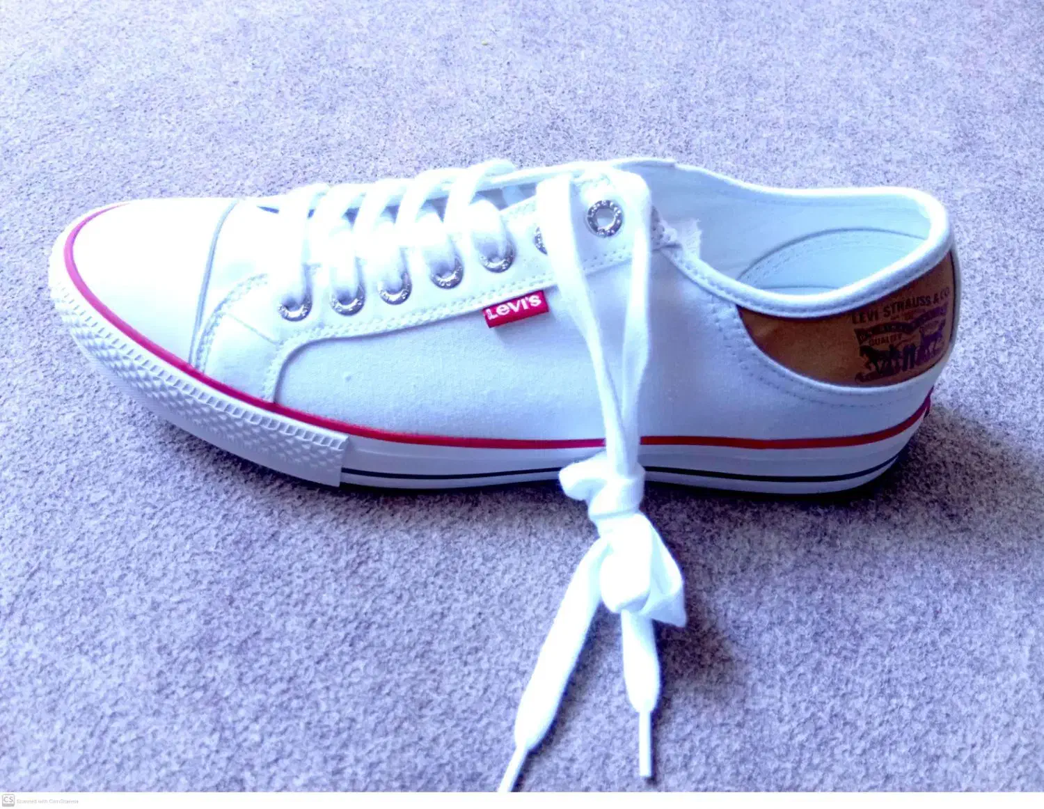 کفش levi's سایز ۴۳|کیف، کفش، کمربند|دلوار, |دیوار