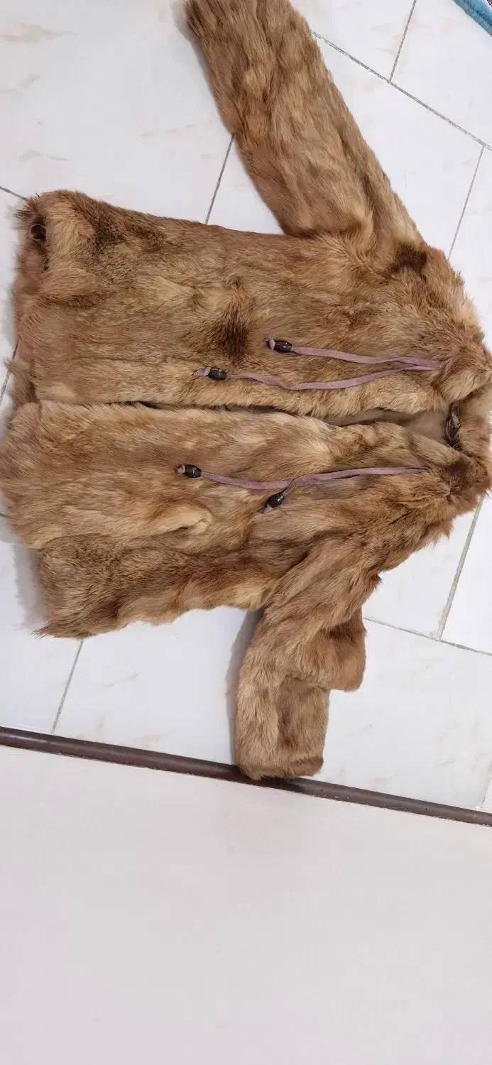 پالتو خز پوست طبیعی حیوان|لباس|پردیس, فاز ۱۱|دیوار