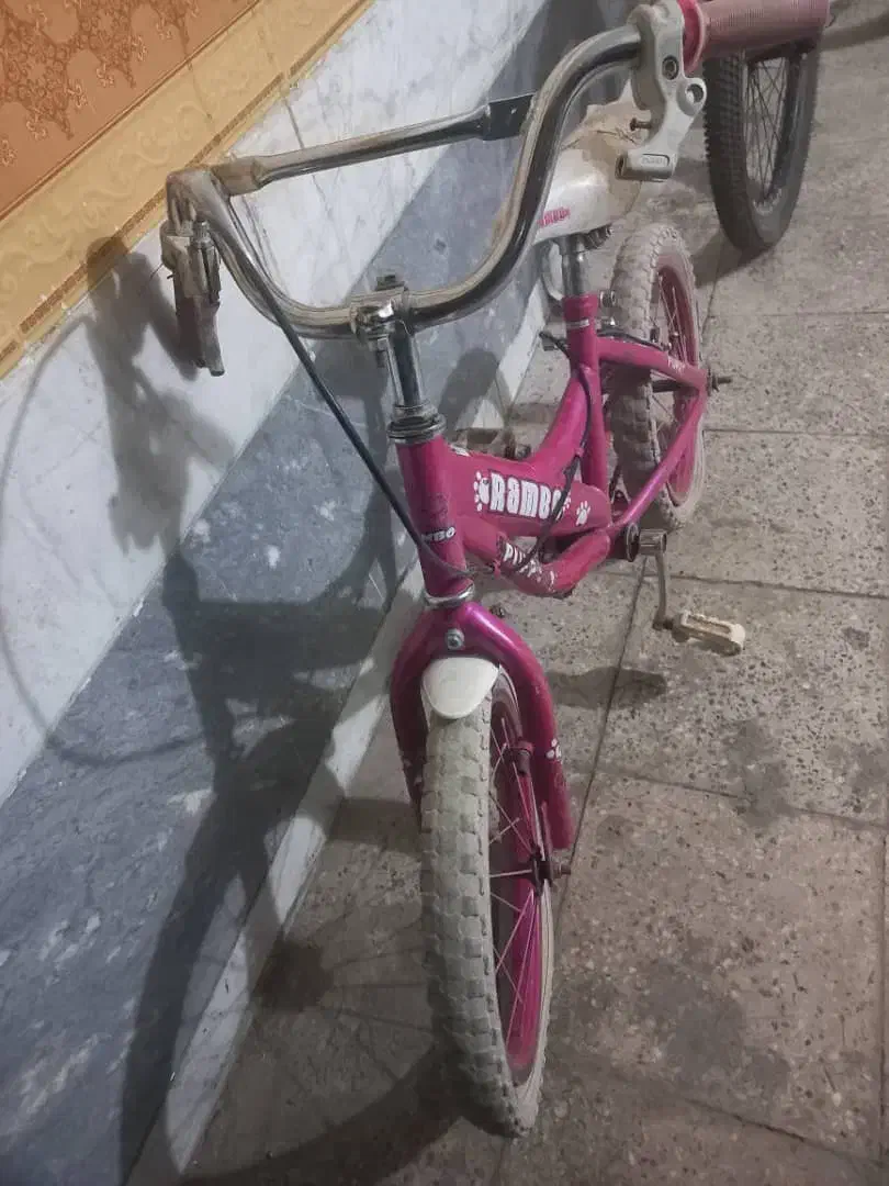 دوچرخه|دوچرخه، اسکیت، اسکوتر|فولادشهر, B2|دیوار