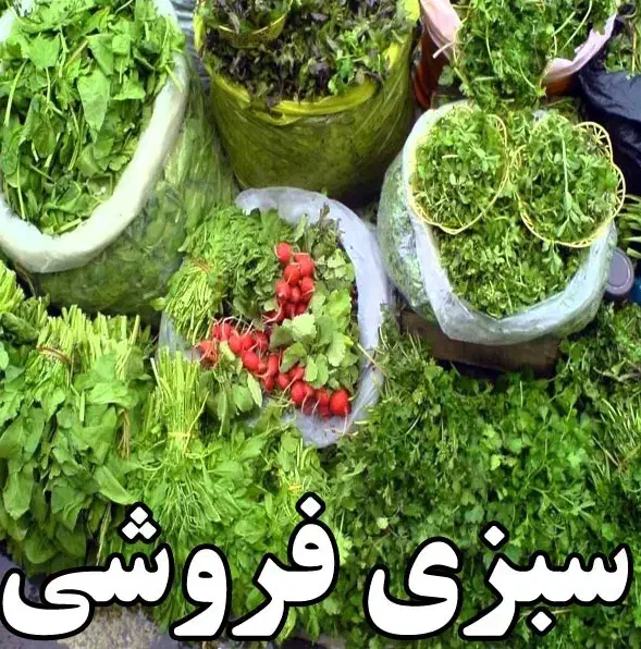 سبزی قرمه اش کو کو|خوردنی و آشامیدنی|بردسکن, |دیوار