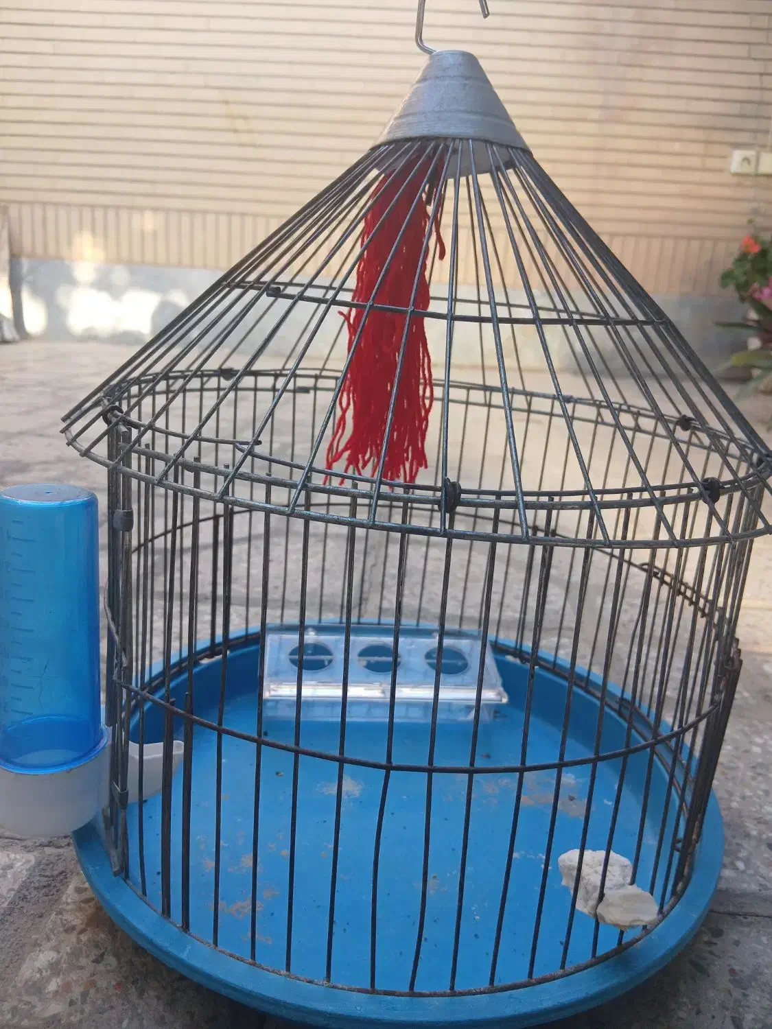 قفس طرقه|لوازم جانبی حیوانات|شاهین‌شهر, شهرک گلدیس|دیوار