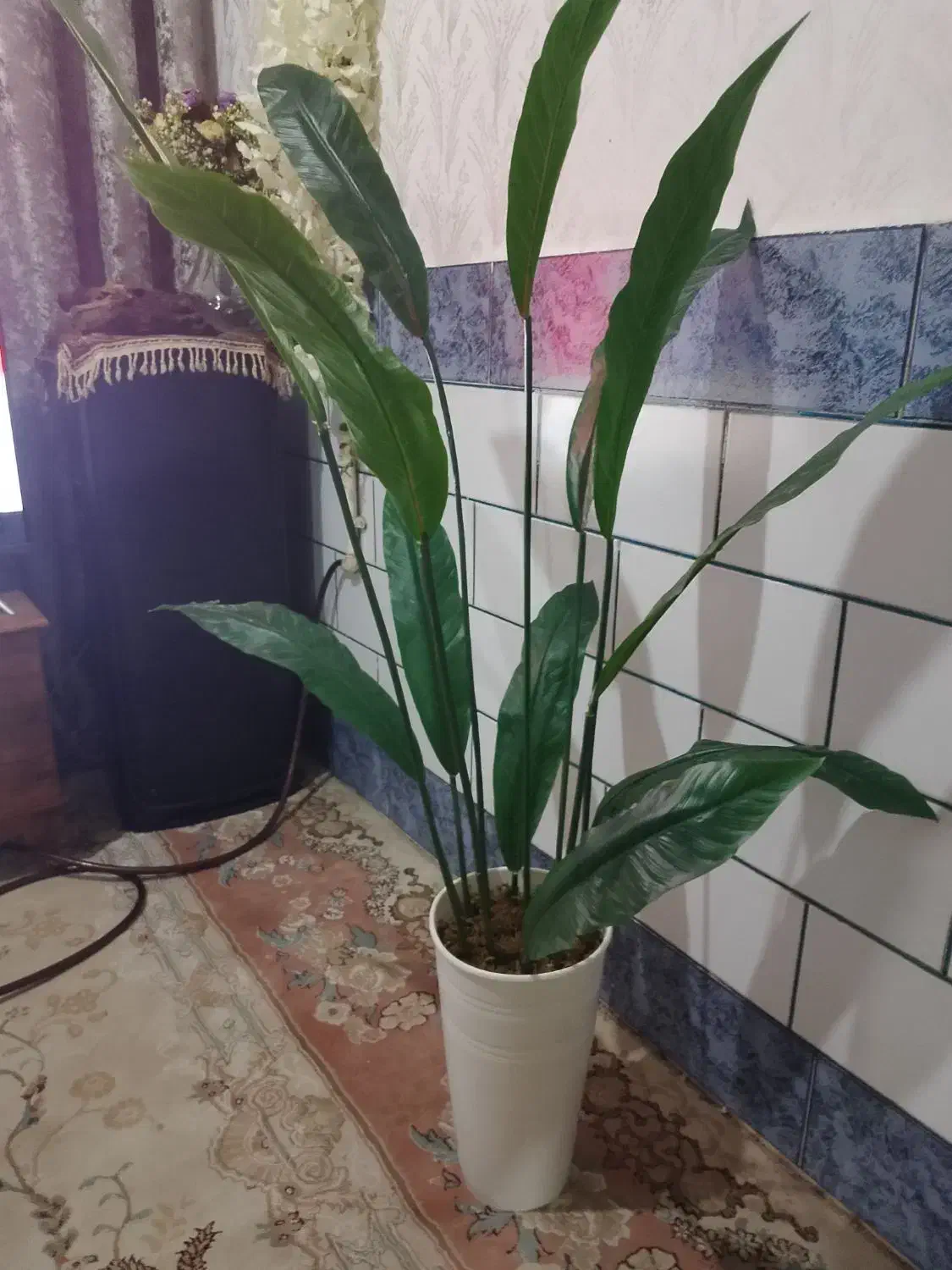 درختچه|گل مصنوعی|بندر امام خمینی, |دیوار