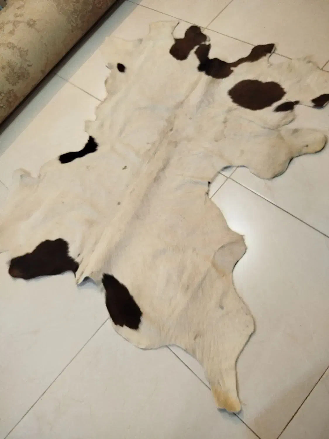 چرم طبیعی تبریز|روفرشی|کرمانشاه, |دیوار