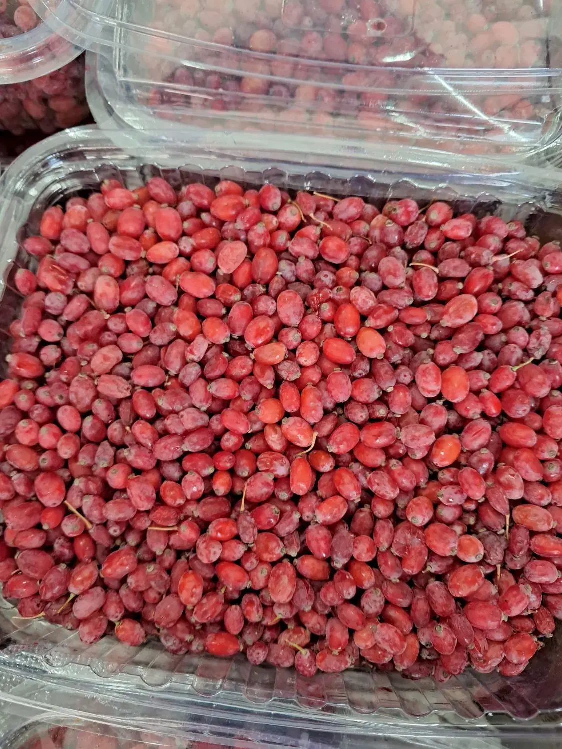 زرشک دانه تازه امسالی|خوردنی و آشامیدنی|مشهد, مصلی (کارمندان اول)|دیوار