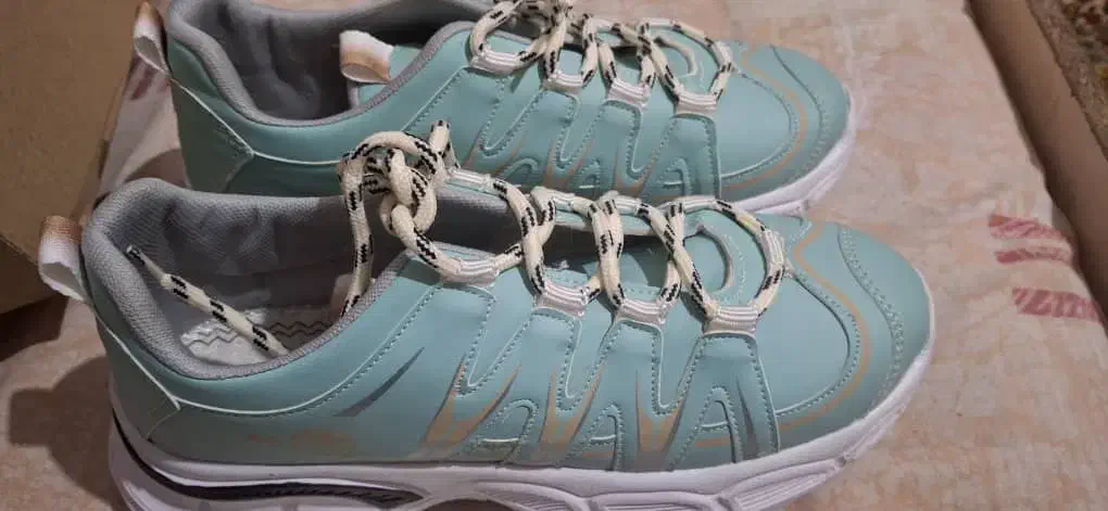 کفش|کیف، کفش، کمربند|جهرم, |دیوار