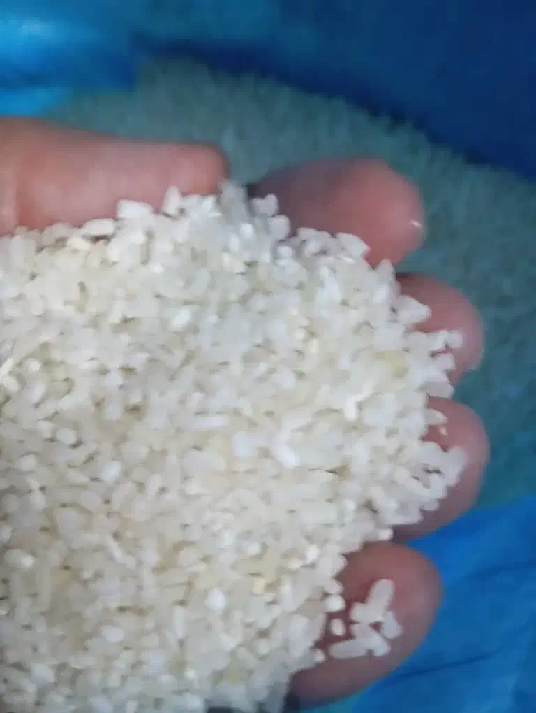 برنج نیم دانه عنبر بوشمالی لیزرشده قیمت عمده وتکی|خوردنی و آشامیدنی|شادگان, |دیوار