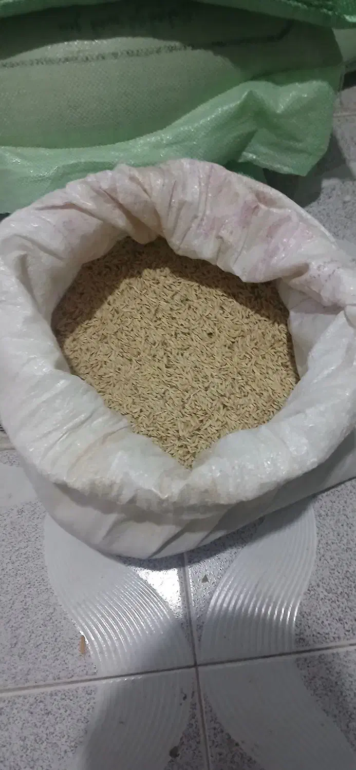 جو سالم|خوردنی و آشامیدنی|ایجرود, |دیوار